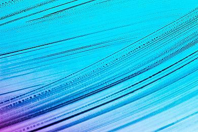 双厨狂喜，《泰拉瑞亚》和《地心护核者》的史莱姆梦幻联动